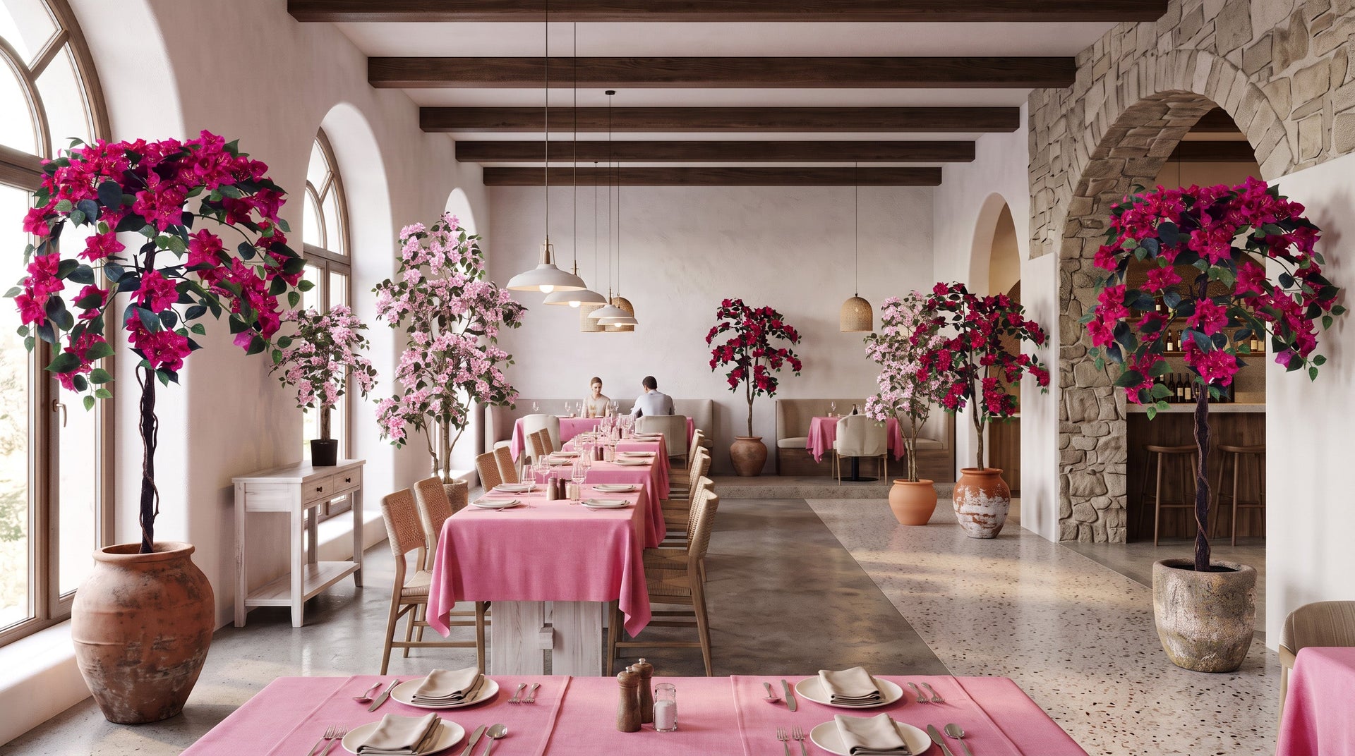 Bougainvillea