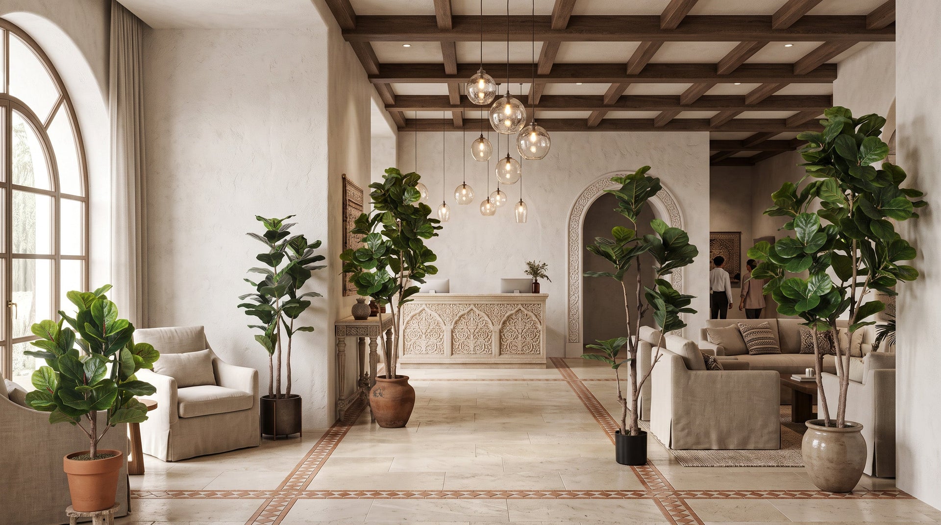 Fiddle Leaf Fig Trees