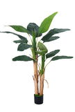 Artificial Banana Trees for Tropical Indoor Spaces