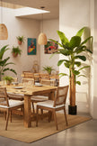 Artificial Banana Trees for Tropical Indoor Spaces