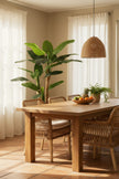Artificial Banana Trees for Tropical Indoor Spaces
