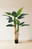Artificial Banana Trees for Tropical Indoor Spaces