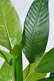 Artificial Banana Trees for Tropical Indoor Spaces