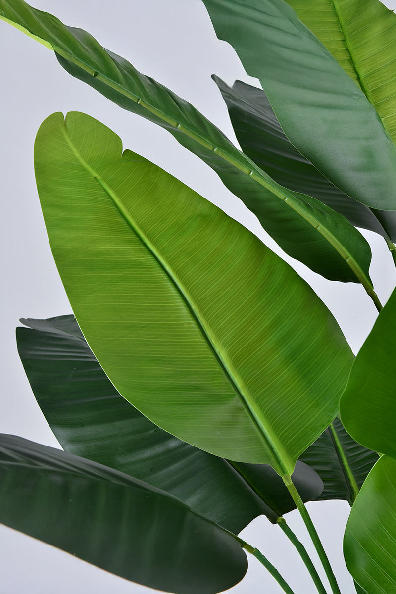 Artificial Banana Trees for Tropical Indoor Spaces