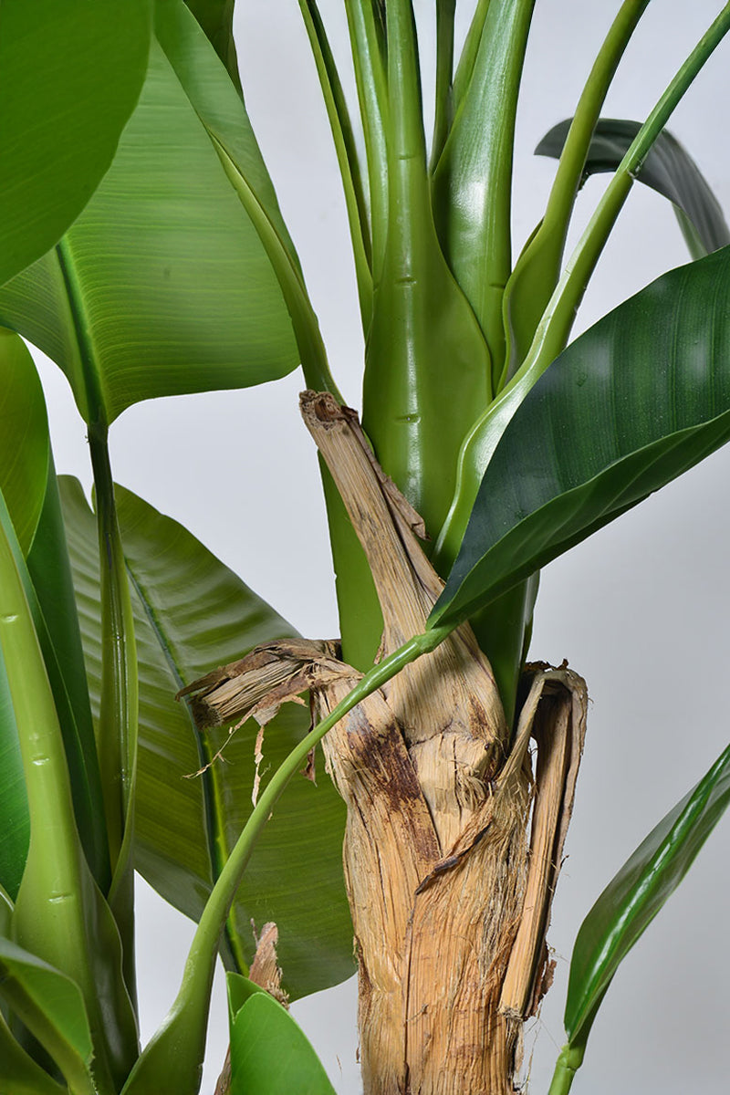 Artificial Banana Trees for Tropical Indoor Spaces