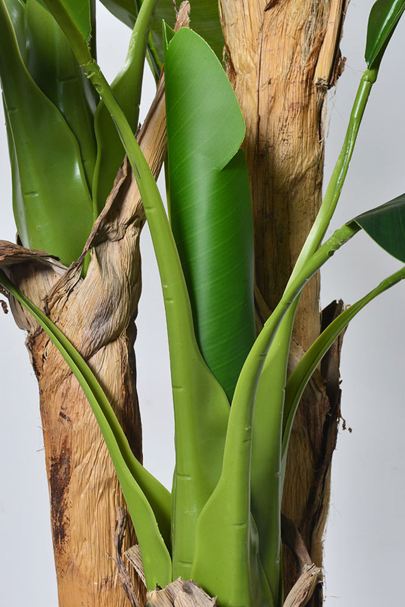 Artificial Banana Trees for Tropical Indoor Spaces