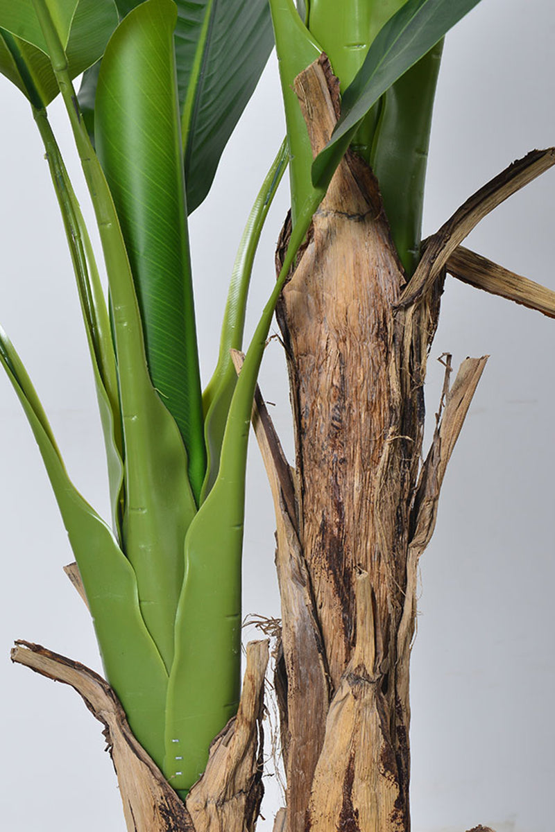 Artificial Banana Trees for Tropical Indoor Spaces