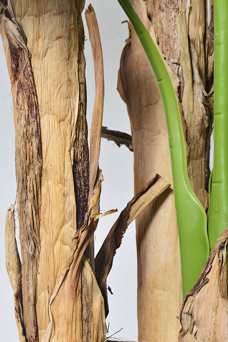 Artificial Banana Trees for Tropical Indoor Spaces