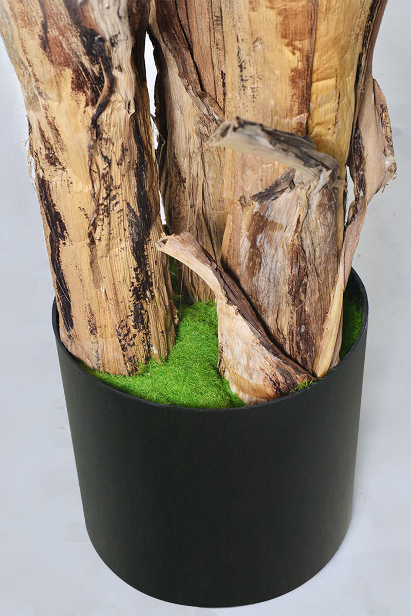 Artificial Banana Trees for Tropical Indoor Spaces