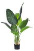 Birds of Paradise C: (Ravenala) with Realistic Leaves
