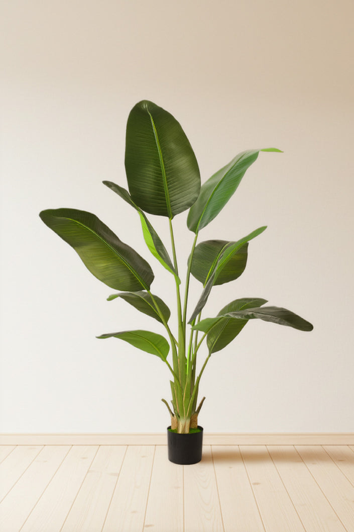 Birds of Paradise C: (Ravenala) with Realistic Leaves