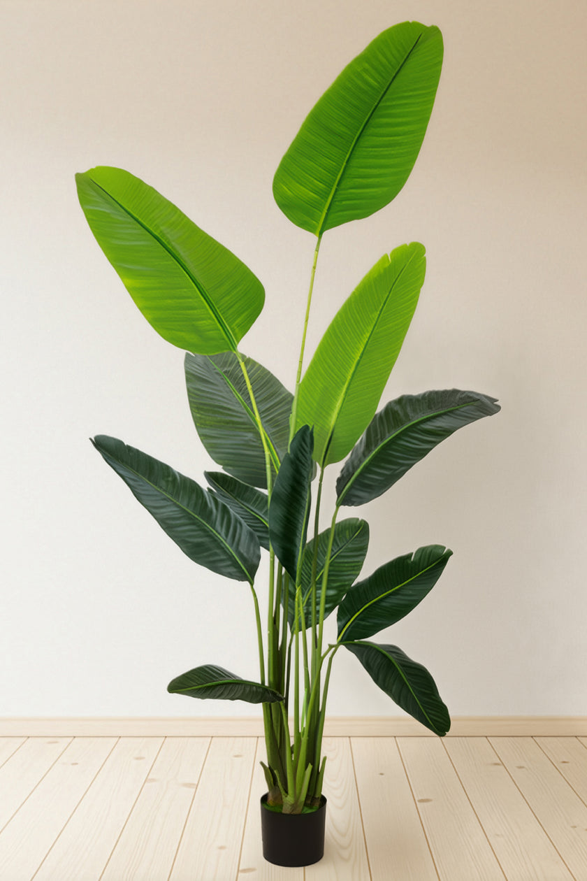 Birds of Paradise C: (Ravenala) with Realistic Leaves