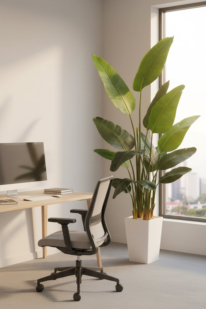 Birds of Paradise F: with Tall White Planter