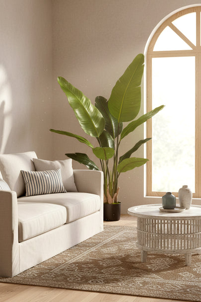 Birds of Paradise H: with Multiple Trunks and Dense Foliage