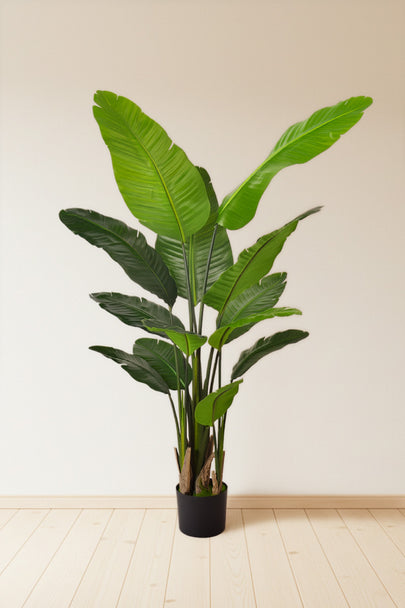 Birds of Paradise H: with Multiple Trunks and Dense Foliage