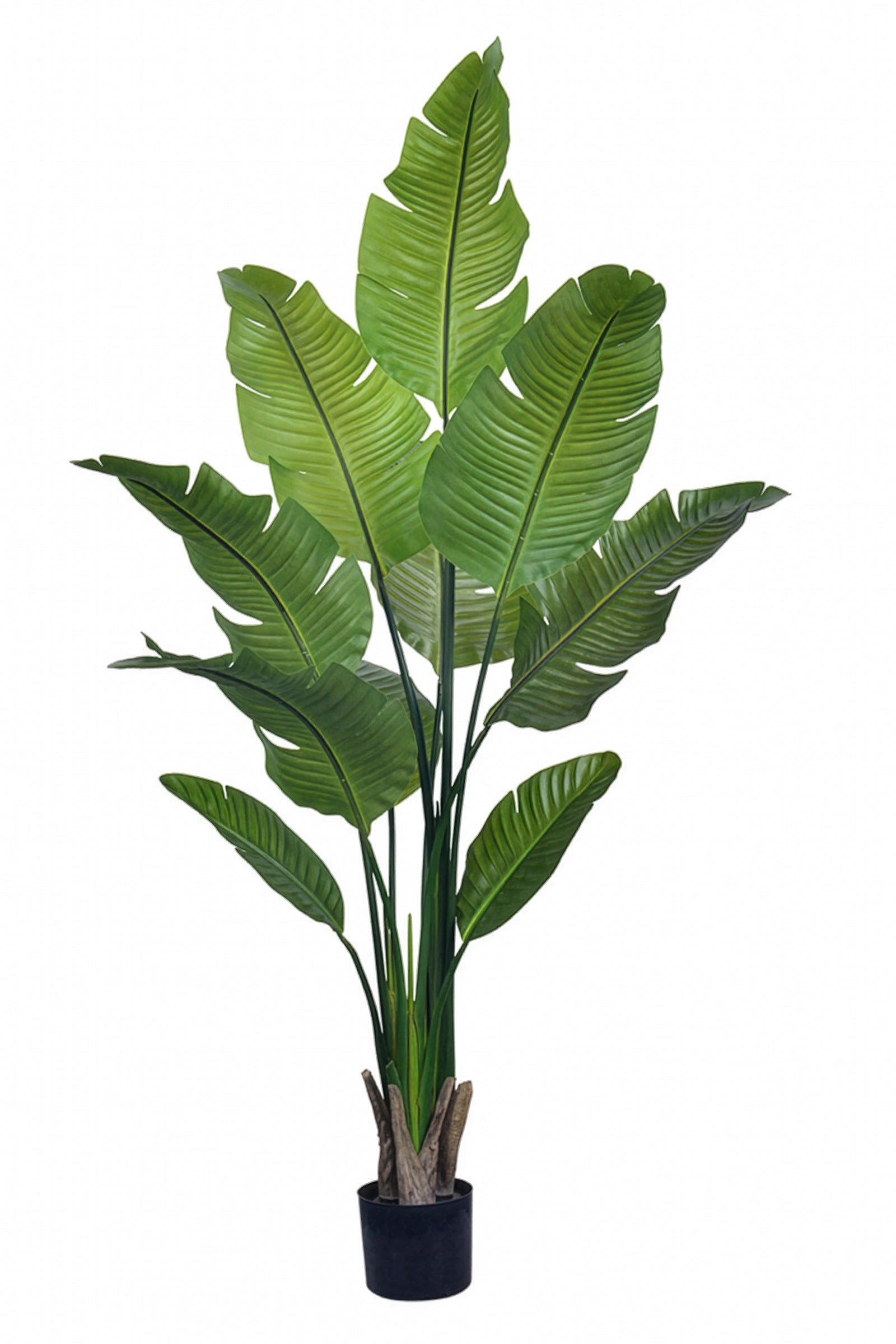 Birds of Paradise L: Traveler’s Palm Large Tropical Statement Tree