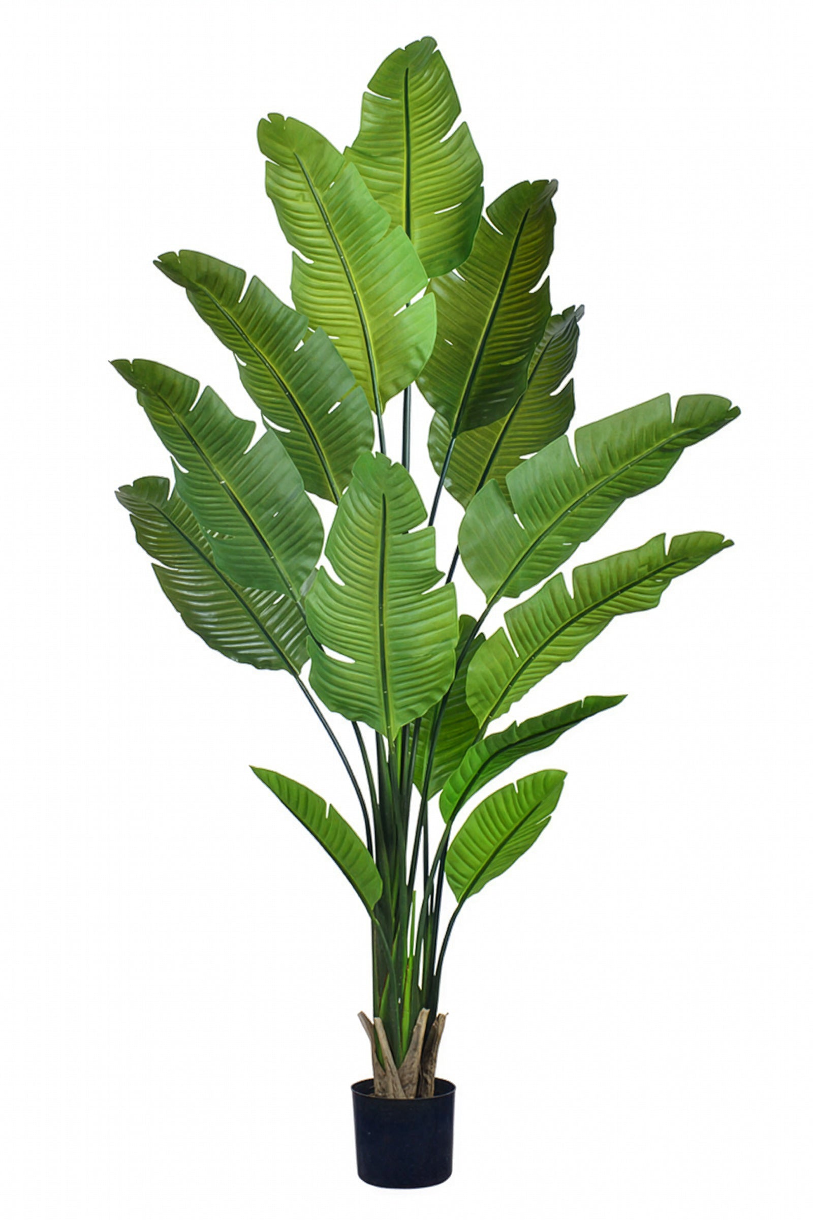 Birds of Paradise L: Traveler’s Palm Large Tropical Statement Tree