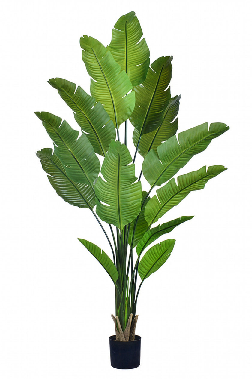 Birds of Paradise L: Traveler’s Palm Large Tropical Statement Tree