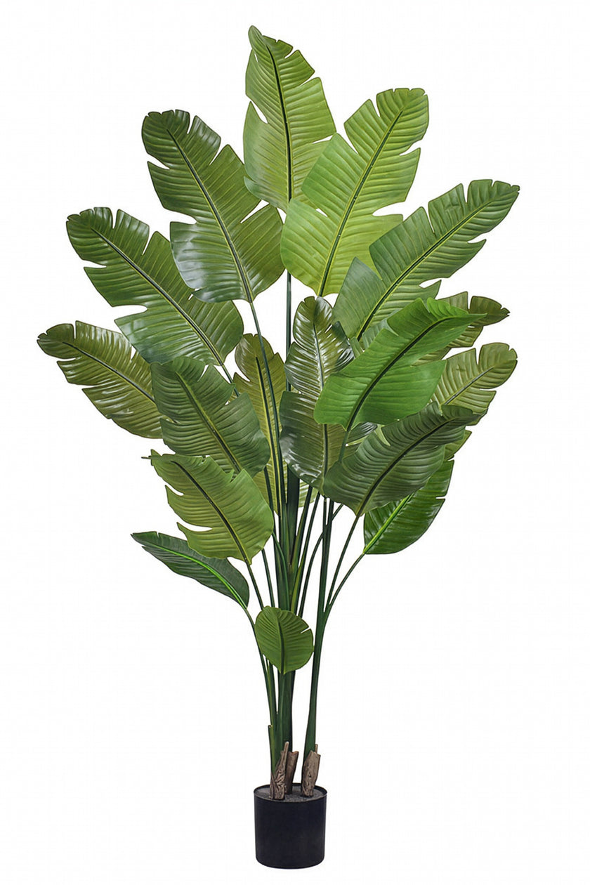 Birds of Paradise L: Traveler’s Palm Large Tropical Statement Tree
