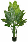 Birds of Paradise L: Traveler’s Palm Large Tropical Statement Tree