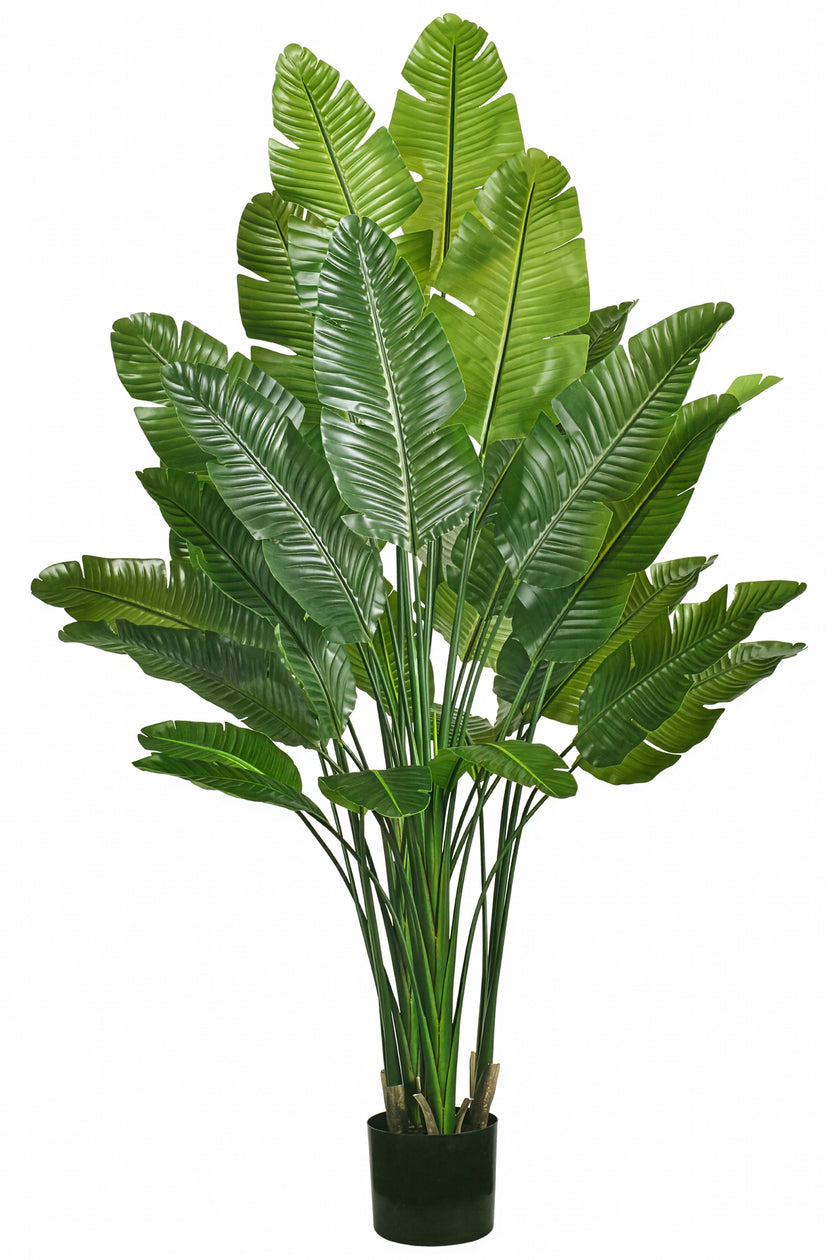 Birds of Paradise L: Traveler’s Palm Large Tropical Statement Tree