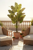Birds of Paradise L: Traveler’s Palm Large Tropical Statement Tree