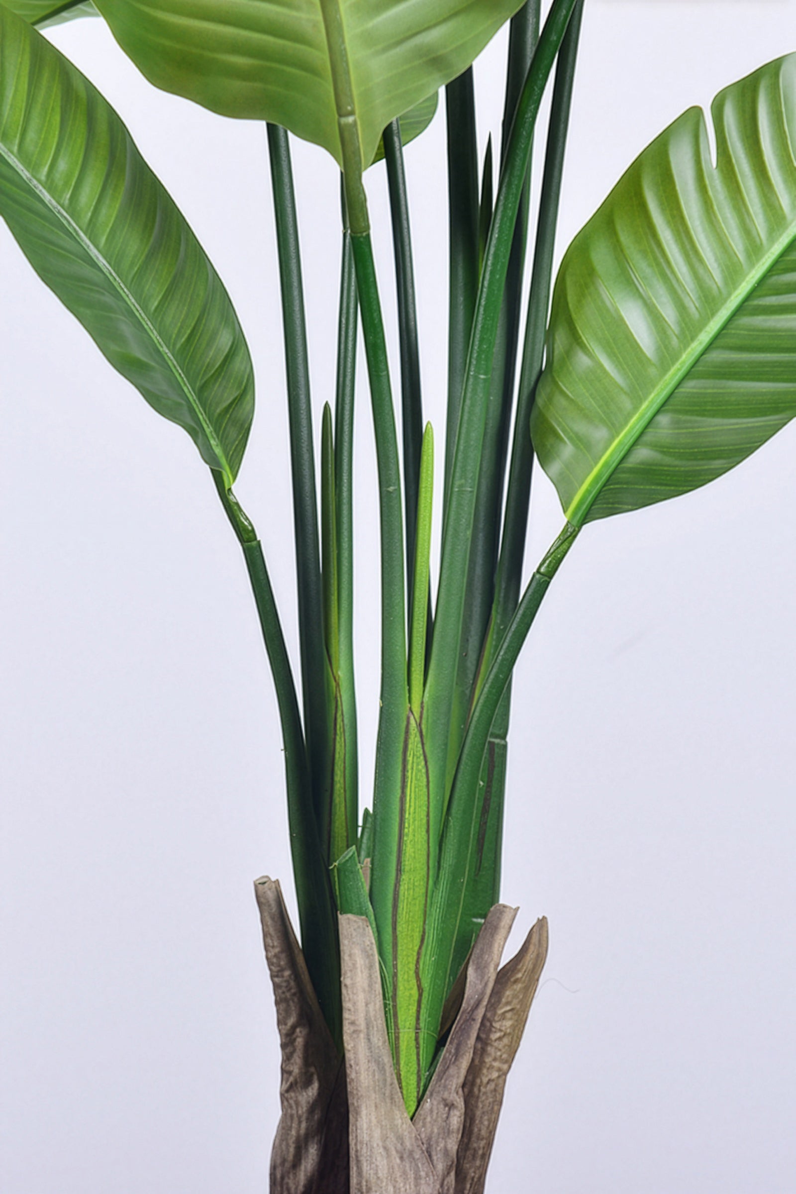 Birds of Paradise L: Traveler’s Palm Large Tropical Statement Tree