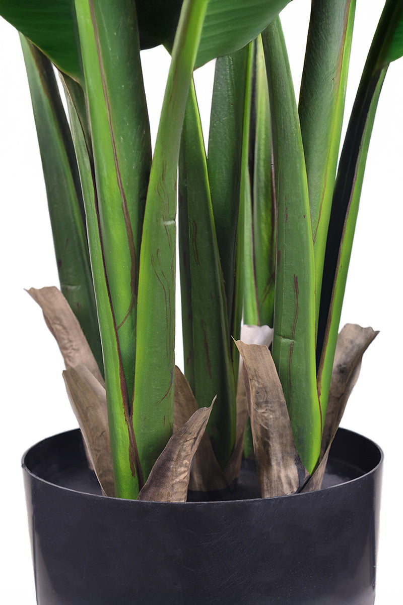 Birds of Paradise L: Traveler’s Palm Large Tropical Statement Tree