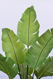 Birds of Paradise L: Traveler’s Palm Large Tropical Statement Tree