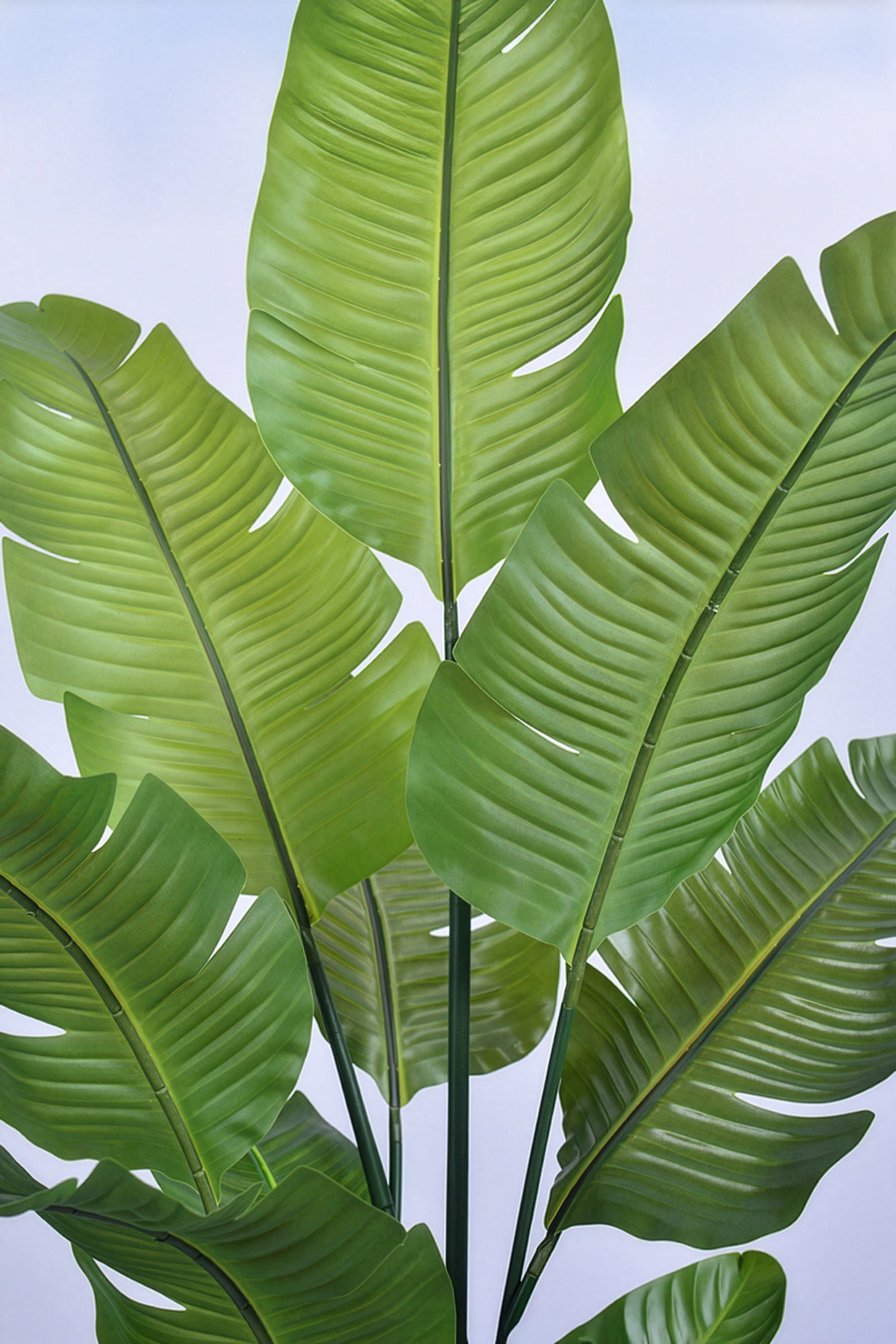 Birds of Paradise L: Traveler’s Palm Large Tropical Statement Tree