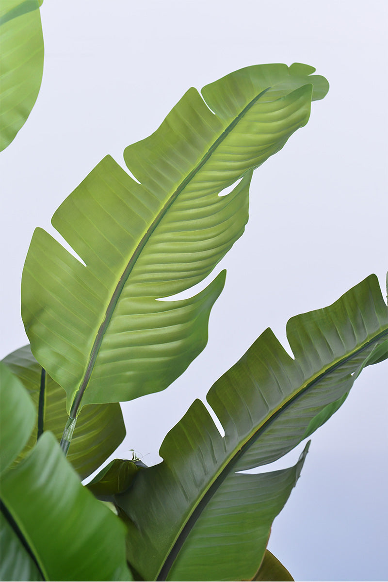 Birds of Paradise L: Traveler’s Palm Large Tropical Statement Tree