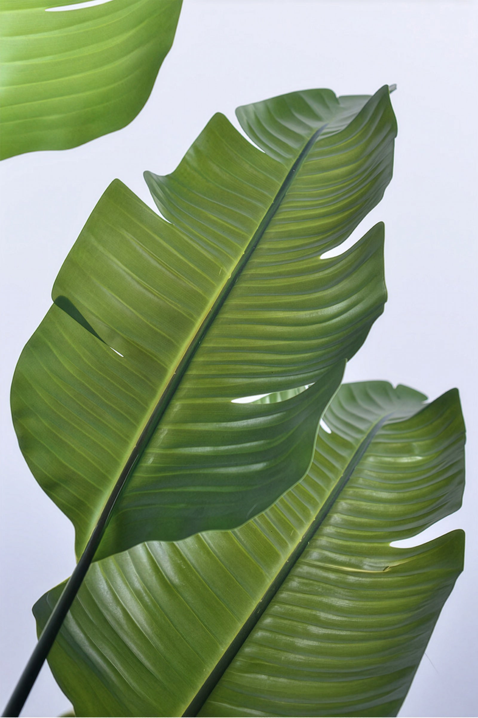 Birds of Paradise L: Traveler’s Palm Large Tropical Statement Tree