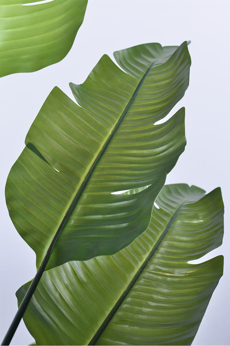 Birds of Paradise L: Traveler’s Palm Large Tropical Statement Tree