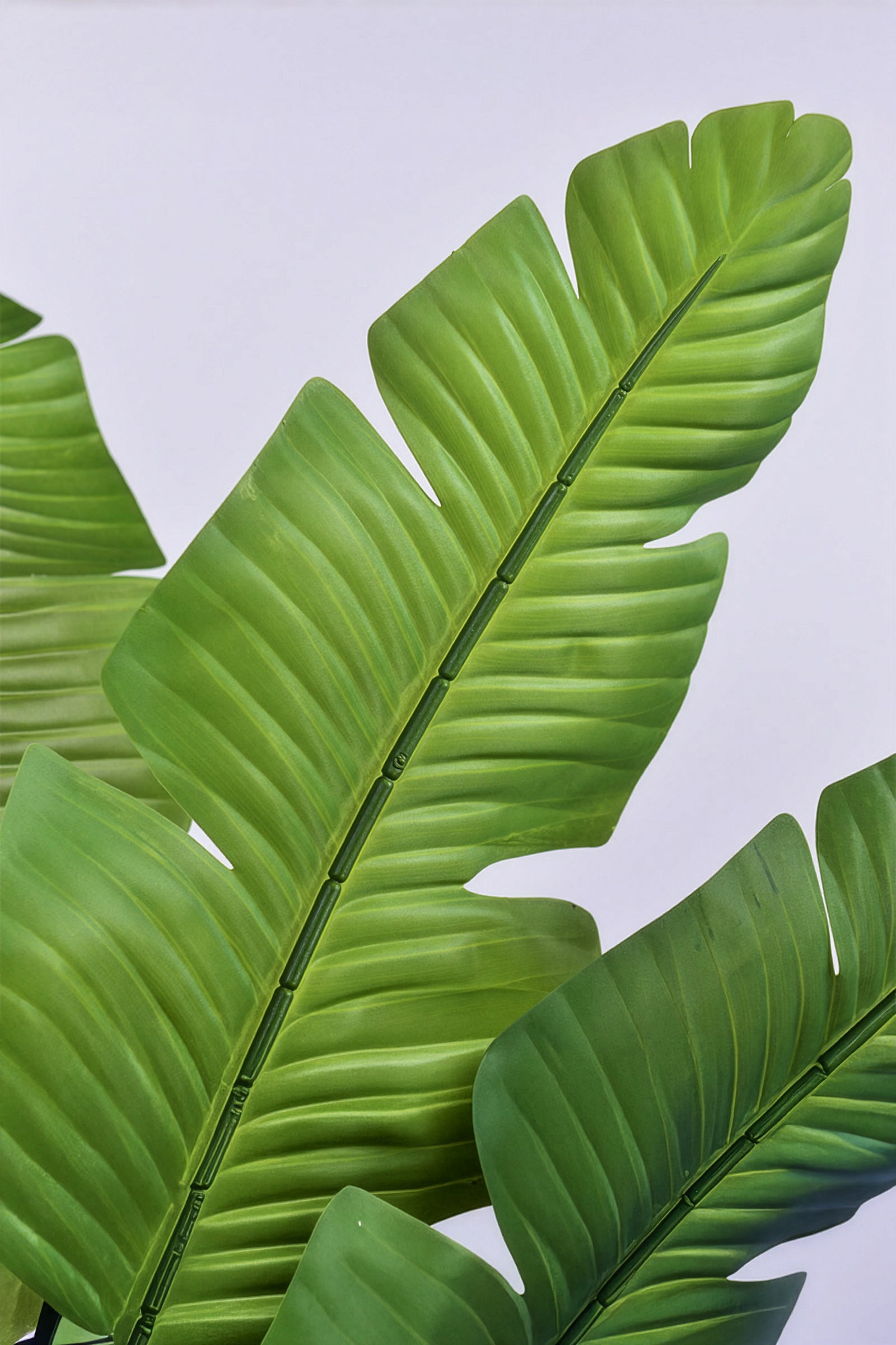 Birds of Paradise L: Traveler’s Palm Large Tropical Statement Tree