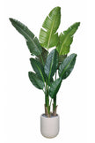 Birds of Paradise N: 3D-Printed Artificial Birds of Paradise with White Planter