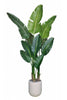 Birds of Paradise N: 3D-Printed Artificial Birds of Paradise with White Planter