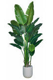 Birds of Paradise N: 3D-Printed Artificial Birds of Paradise with White Planter