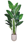 Birds of Paradise N: 3D-Printed Artificial Birds of Paradise with White Planter
