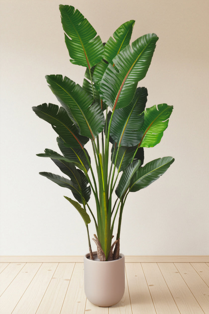 Birds of Paradise N: 3D-Printed Artificial Birds of Paradise with White Planter