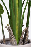 Birds of Paradise N: 3D-Printed Artificial Birds of Paradise with White Planter