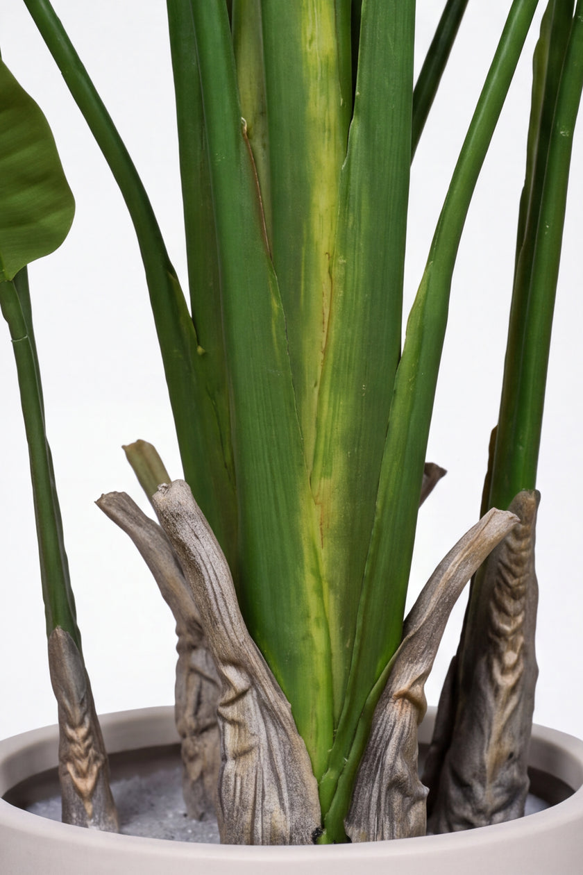 Birds of Paradise N: 3D-Printed Artificial Birds of Paradise with White Planter