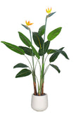 Birds of Paradise A: with Flowers and Detachable Leaves