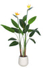Birds of Paradise A: with Flowers and Detachable Leaves