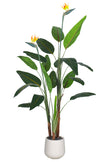 Birds of Paradise A: with Flowers and Detachable Leaves