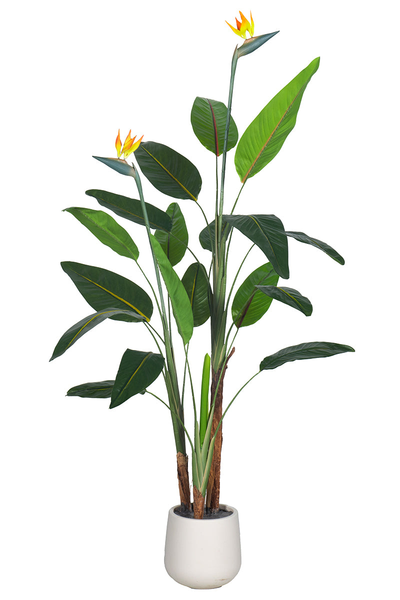 Birds of Paradise A: with Flowers and Detachable Leaves