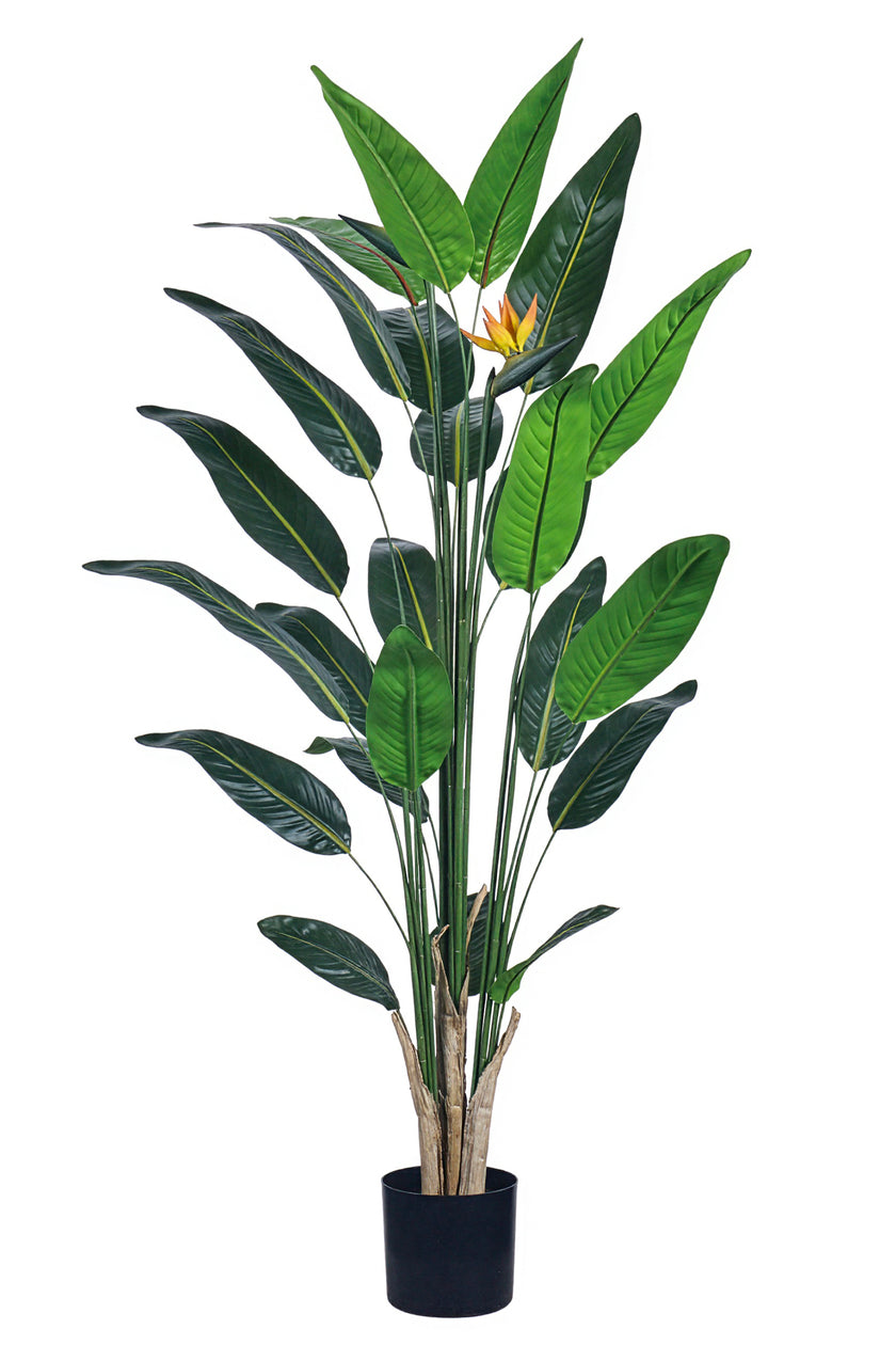 Paradijsvogels A: met Bloemen en Afneembare Bladeren