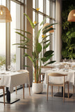 Birds of Paradise A: with Flowers and Detachable Leaves