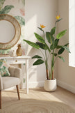 Birds of Paradise A: with Flowers and Detachable Leaves
