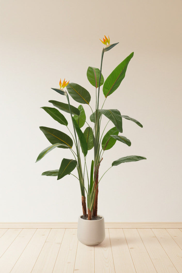 Birds of Paradise A: with Flowers and Detachable Leaves