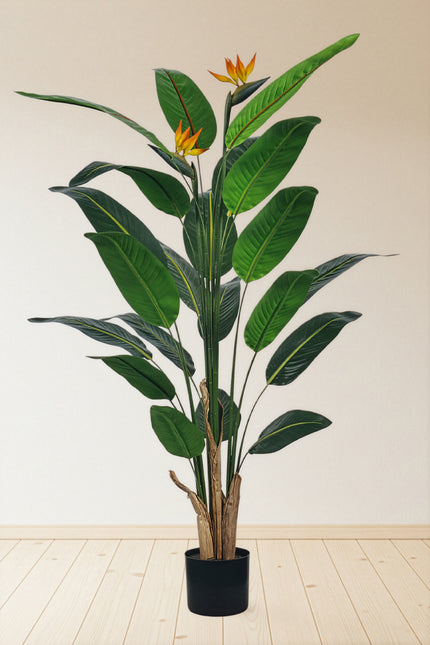 Birds of Paradise A: with Flowers and Detachable Leaves